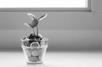 S-Curve Growth: A 4-step growth strategy for tech companies