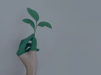 Venture Debt