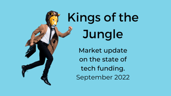 Kings of the Jungle, tech funding update September