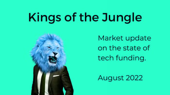 Kings of the Jungle, tech funding update August 2022