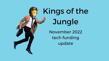 Kings of the Jungle, tech funding update November 2022