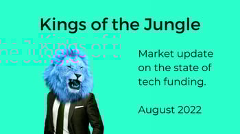 Kings of the Jungle, tech funding update August 2022