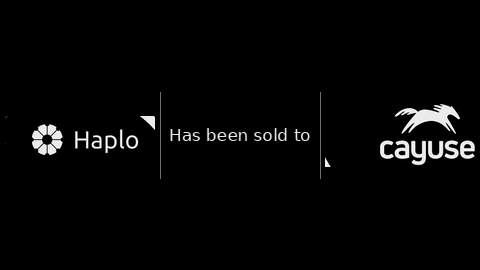 Haplo logo