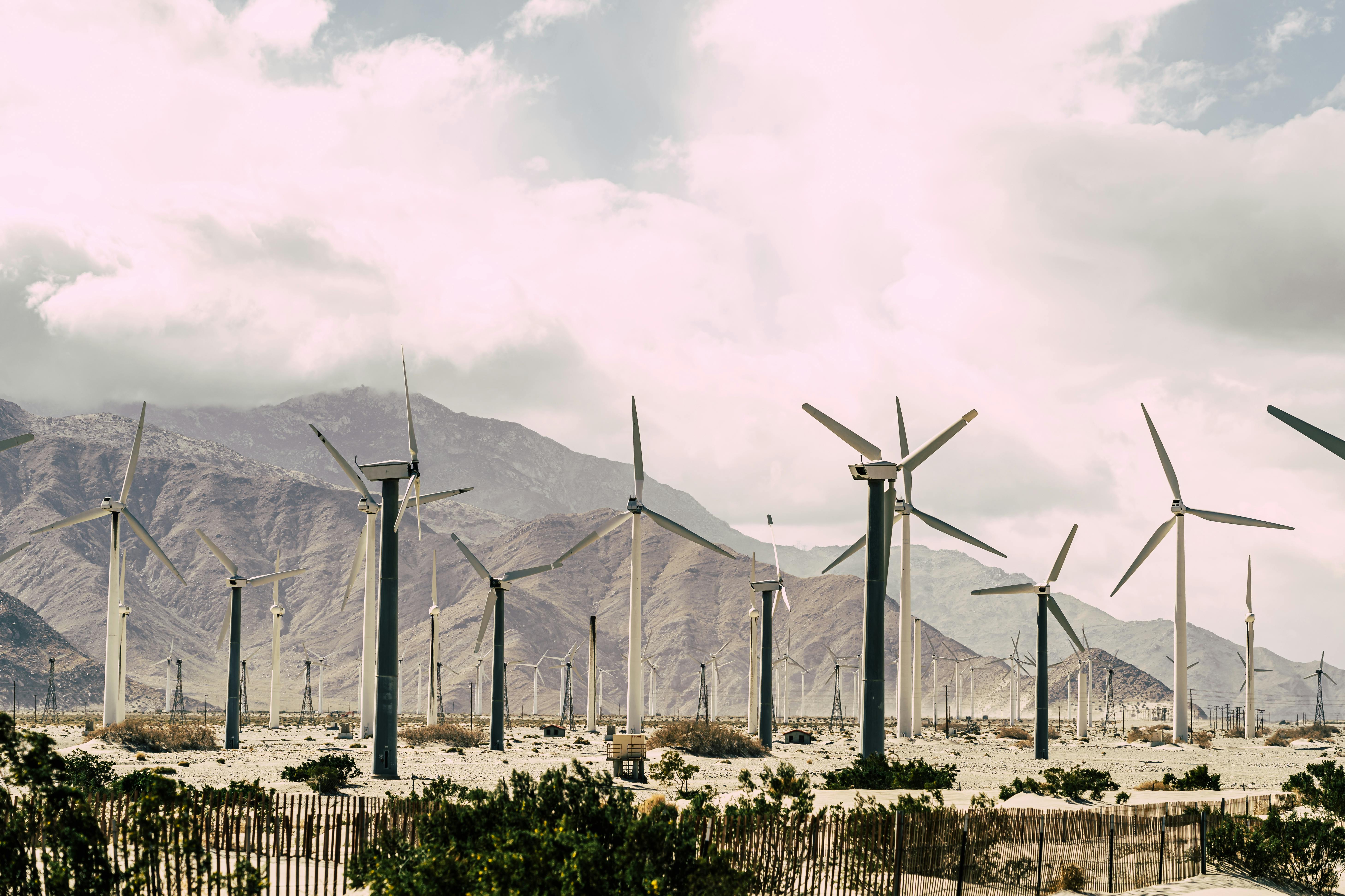 Green, Private, Hybrid: The New Faces of Corporate Debt